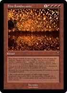 Tout plein de lumières!