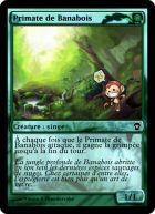 Un peu de singeries dans ce monde de brutes