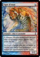 Tigre ? Peut-être...