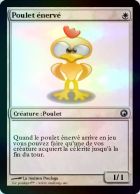 Poulet énervé