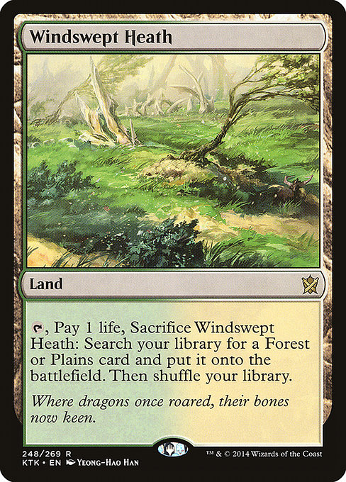 Lande venteuse (Windswept Heath) - Magic the Gathering
