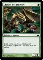 Dragon des mûriers