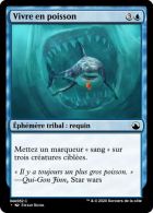 [SHA] Suite et fin des éphémères/rituels/enchantements requins