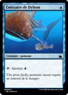 [SHA] Déferlante de requins communs