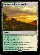 [RVE] Cycle de terrains biland