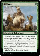 [SCC43] Bêêêêêê