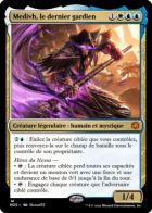 Medivh, le dernier gardien // Medivh, forme de corbeau