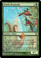 Oiselle de paradis