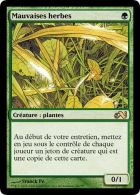 L'ennemi juré du désherbant