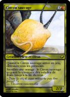 Citron sauvage