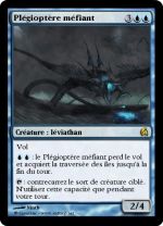 Plégioptère méfiant