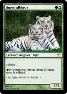 tigres albinos