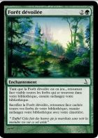 Forêt dévoilée