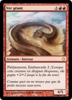 Un Gros Gros ver