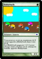 Pleins de Biddybuds !