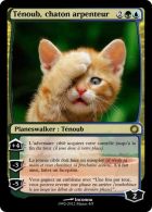 Ténoub, Le Chaton Planeswalker !